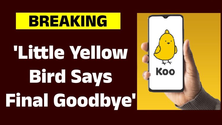 Goodbye Yellow Bird: Koo App